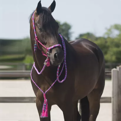 Rope halter combi QHP LIBERTY / 1096