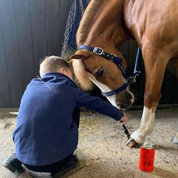 Olej do kopyt CARR & DAY & MARTIN Vanner & Prest Hoof Oil - 1000 ml / HO117