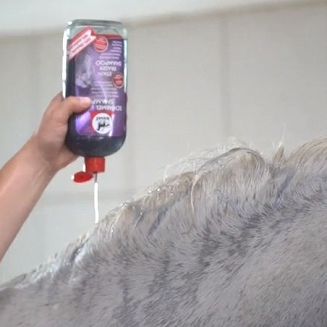 Wybielający szampon dla jasnych koni i dla koni z siwymi odmianami - Milton White.