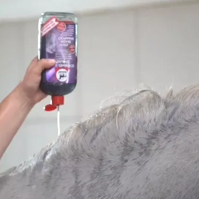 Szampon dla siwych koni LEOVET  Stain Easer Shampoo  500ml