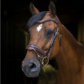 Ogłowie skórzane ERIC THOMAS PRO DESIGN z nachrapnikiem szwedzkim / 307702 kolor brązowy - havana