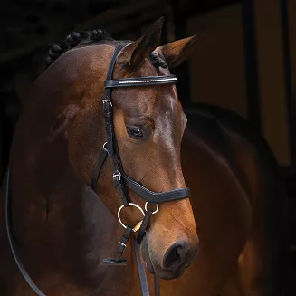 HORSEWARE  