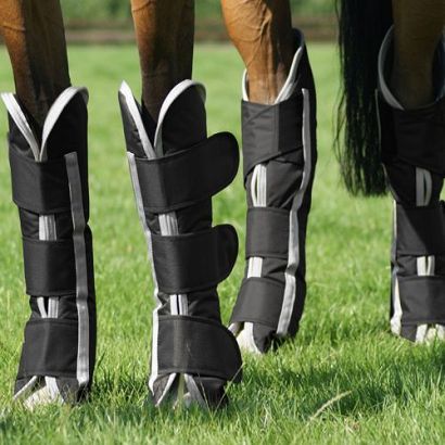 QHP Travel boots turnout / 4007