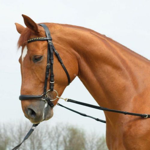 Wypinacze skórzane BASIC-ELASTIK elastyczne