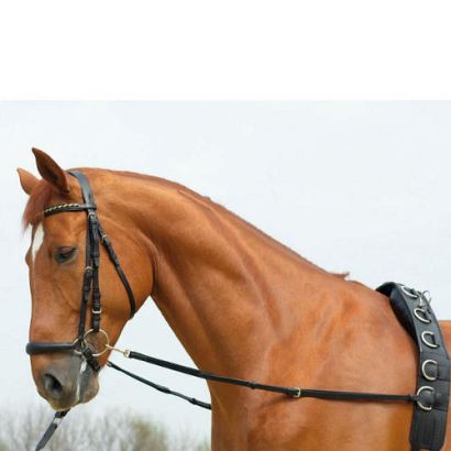 Side-Reins BASIC-ELASTIK / 128010