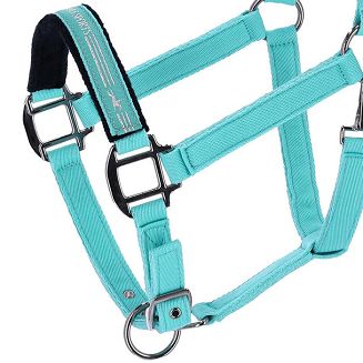 Kolor Sea Green - turkusowy