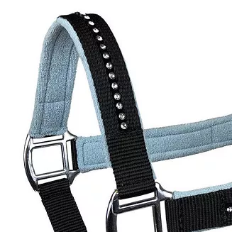 Tape halter QUARTZ padded - black - 2