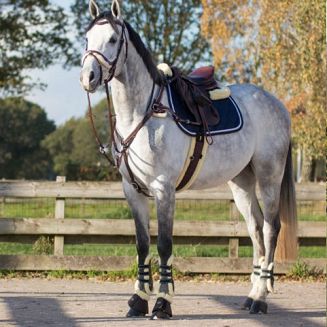 Ogłowie skórzane QHP ONTARIO anatomiczne / 9072