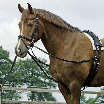 13D BUSSE Lunging reins