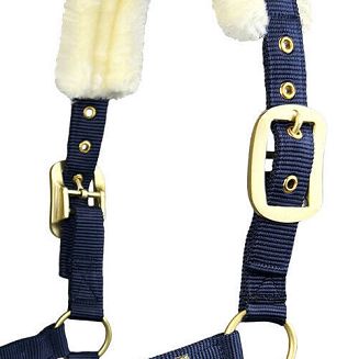 Halter for horses Tiffany lined with fur, navy blue - 3