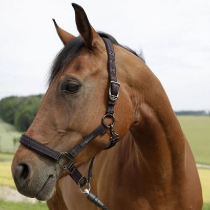 Headcollar COVALLIERO GOLEYGO magnetic / 3221376