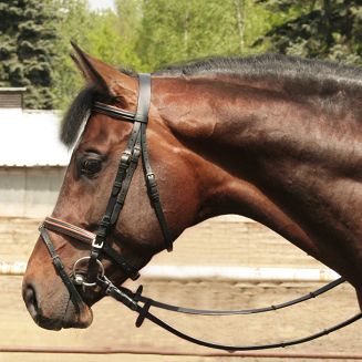 OGŁOWIE PODSZYWANE Z WYPUSTKĄ  czarne z brązowym podszyciem