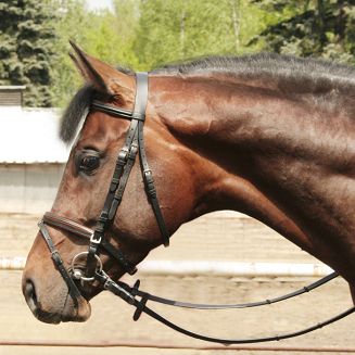  OGŁOWIE PODSZYWANE Z WYPUSTKĄ  czarne z czarnym podszyciem