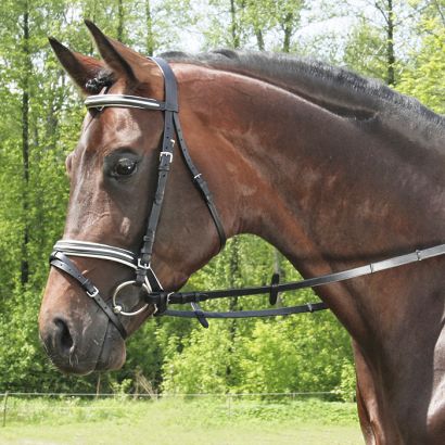 Ogłowie podszywane DAW-MAG z wypustką z nachrapnikiem kombinowanym / 140213
