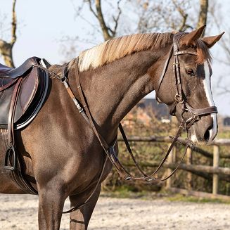 Model wykonano z wysokiej jakości skóry, która łączy trwałość z eleganckim wyglądem.