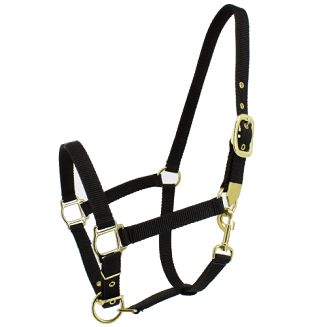 Kantar taśmowy MUSTANG mosiądzowane okucia / 0005 - kolor czarny