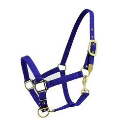 Halter MUSTANG plating brass fittings / 0005