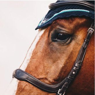 Ogłowie anatomiczne SCHOCKEMÖHLE Equitus Delta / 1101-00051 - 3