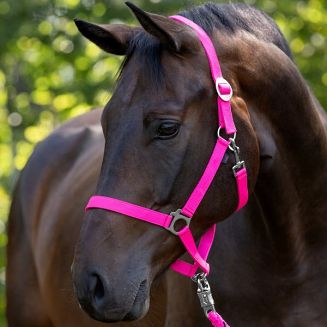 Webbing Halter COVALLIERO Hippo Pink/ 32304 - 2