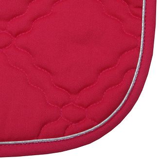 Lamówka w kolorze czapraka.
Czaprak ozdobiony brokatową srebrną wypustką