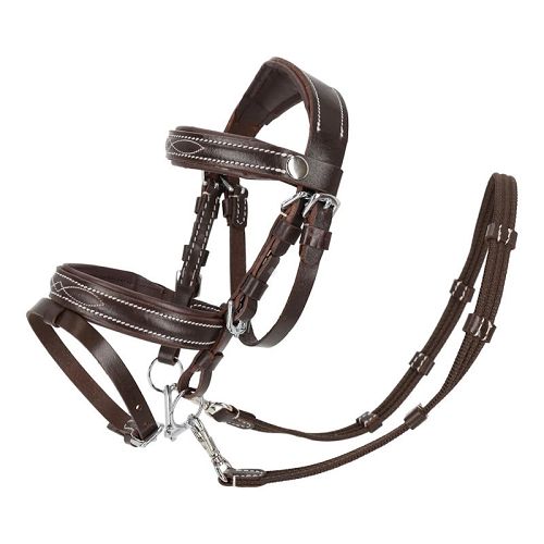 Hobby Horse Bridle QHP Luxury Stitched  – Brown / 5616