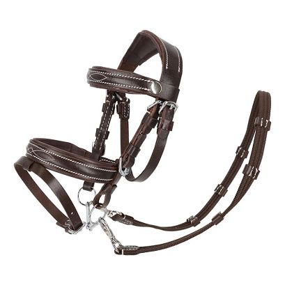Hobby Horse Bridle QHP Luxury Stitched  – Brown / 5616