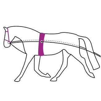 Praca na podwójnej lonży powoduje zwiększenie elastyczności i przepuszczalności konia, długość 16 m.