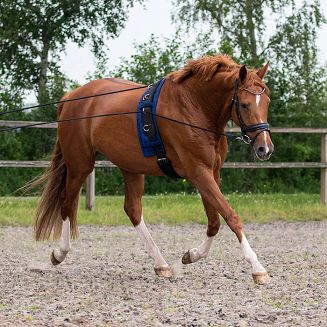 Lonża podwójna QHP / 1067