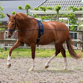 Lonża zapewnia wiele możliwości wypięcia, co stwarza lonżującemu kilka możliwości oddziaływania na konia.