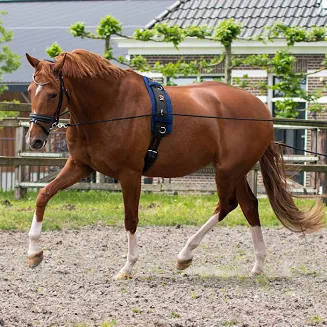 Lonża zapewnia wiele możliwości wypięcia, co stwarza lonżującemu kilka możliwości oddziaływania na konia.