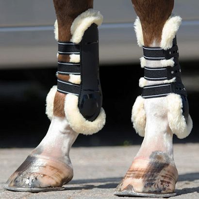 Tendon boots QHP Ontario / 4069