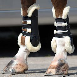 Tendon boots QHP Ontario / 4069