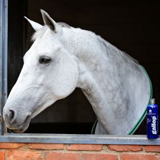 Szampon przeznaczony jest dla koni maści siwej.