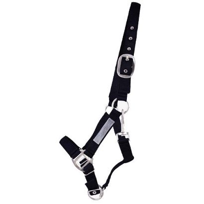 Bezpieczny kantar QHP Safety / 1135