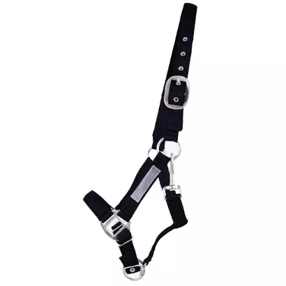 Halter QHP Safety / 1135