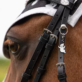 Bridle charms QHP Halloween / 8591 - 3