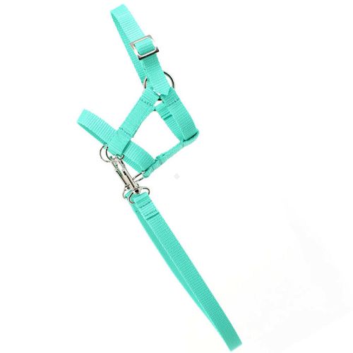 Kantar-ogłowie HOBBY HORSE z wodzami, jasna zieleń