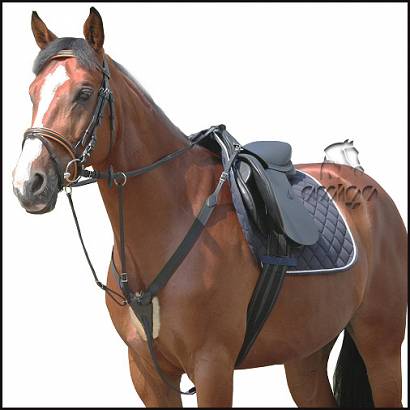 Breastplate with running martingale  DAW-MAG elasti-leather / 13030