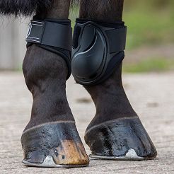 Fetlock boots QHP Champ / 4091