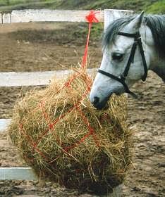 STALLION-L Siatka na siano duża / 2414 