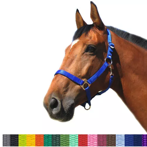Tape halter simple MUSTANG/ 0001