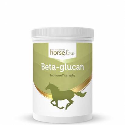 Naturalny kompleks witamin z grupy B HorseLinePRO Beta-Glukan 300g