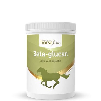 Naturalny kompleks witamin z grupy B HorseLinePRO Beta-Glukan 300g
