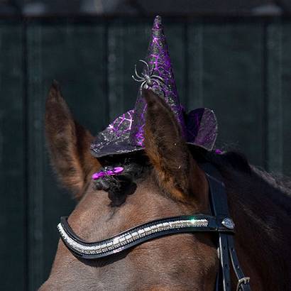 Witch hat horse QHP Halloween / 8546SPI