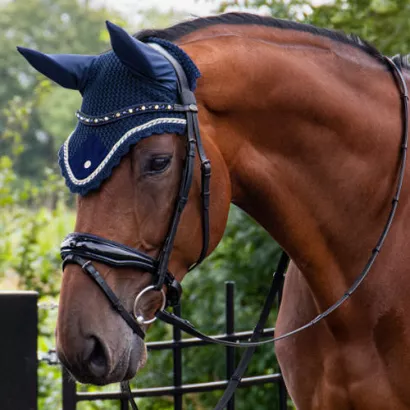 Bridle leather QHP Orlando / 9082