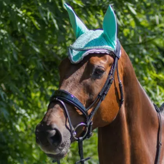 Ear hat QHP / 5006 - 7