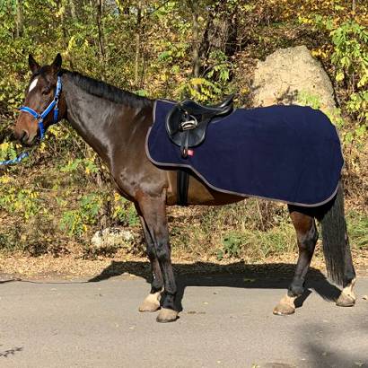 BR Exercise rug PREMIERE - collection Autumn - Winter2019 / 393209
