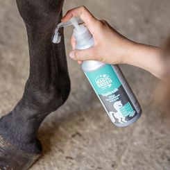 Balsam chłodzący MAGIC BRUSH Equifresh 500ml / 3223440