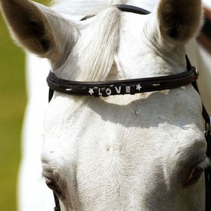 NORTON Leather Browband  / 30449