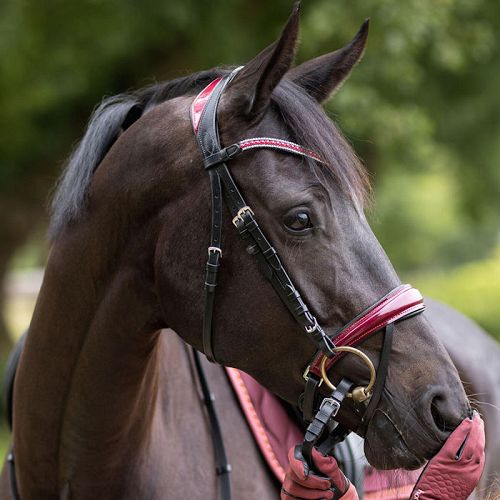 Leather bridle HORZE black and maroon /NNM4D